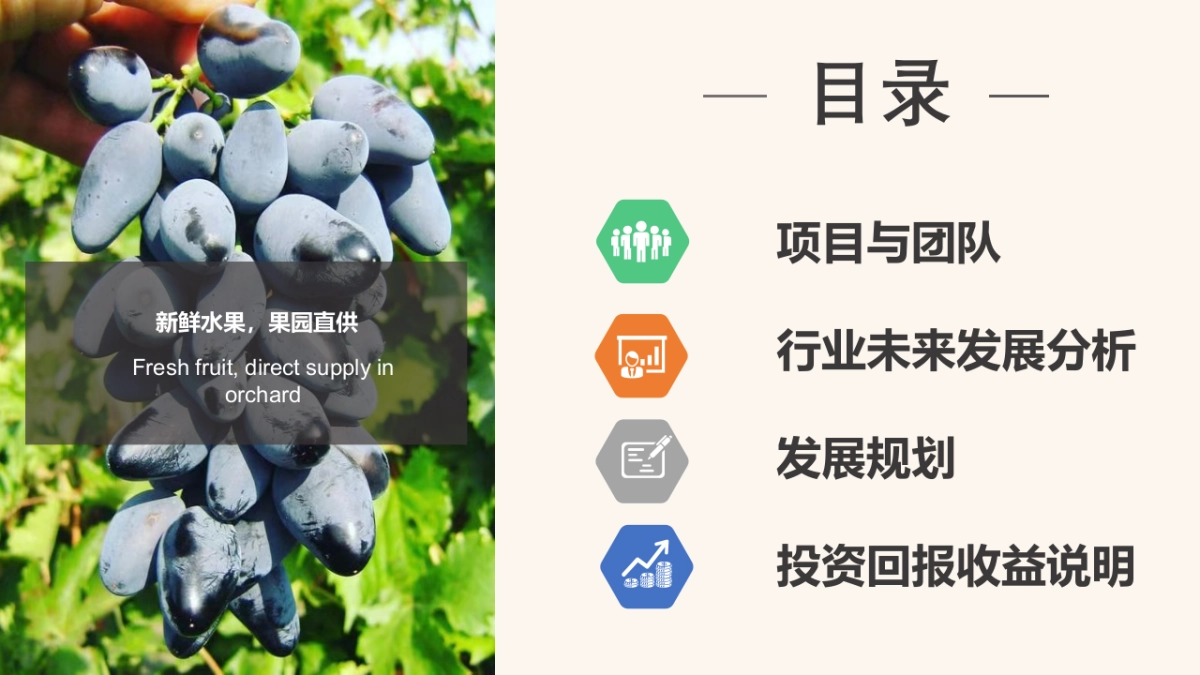 茶完美商业计划书_第2页