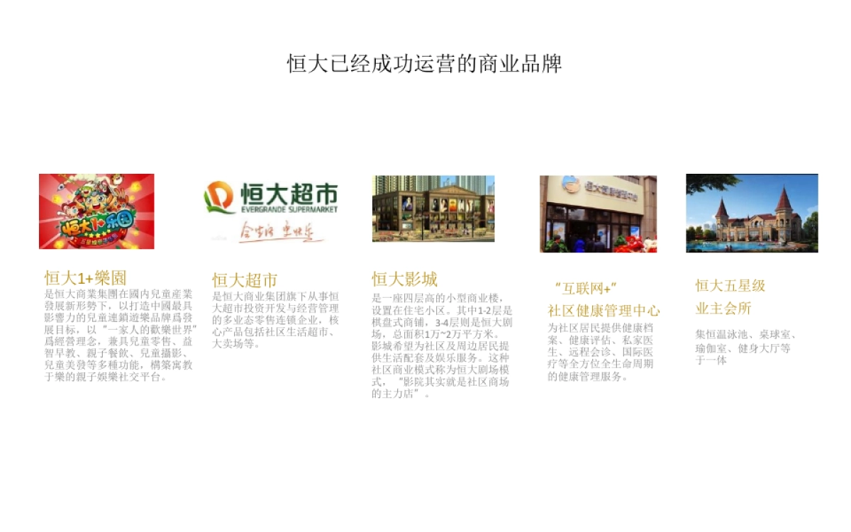 大拿中国-恒大欢乐PARK商业提案_第10页