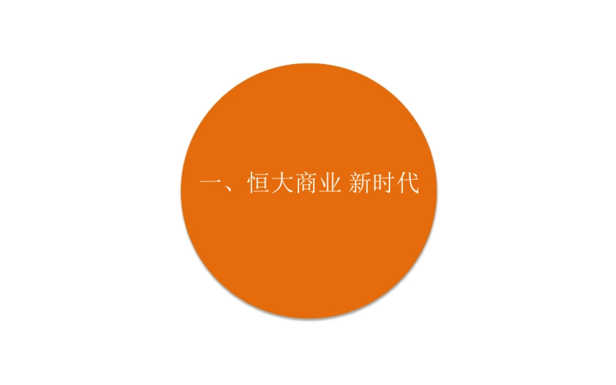 大拿中国-恒大欢乐PARK商业提案_第4页