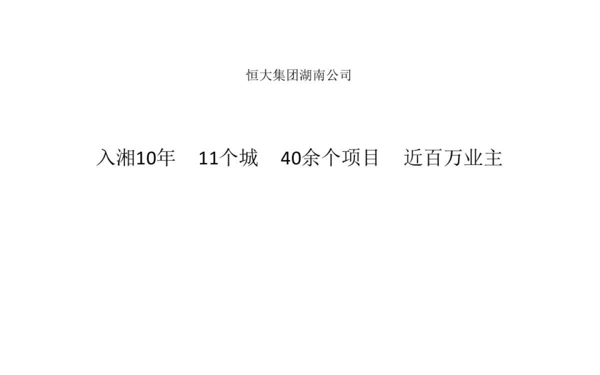 大拿中国-恒大欢乐PARK商业提案_第5页