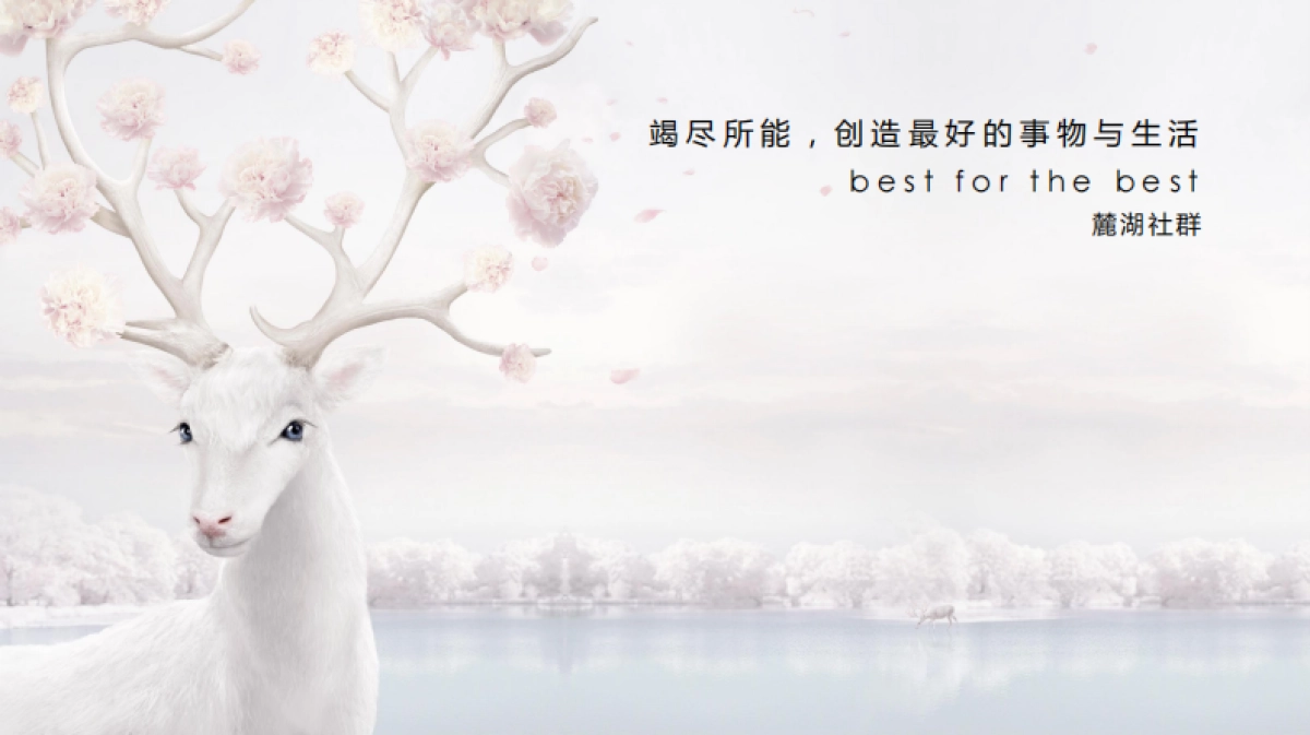 成都麓湖社群实操、方法论方案_第1页