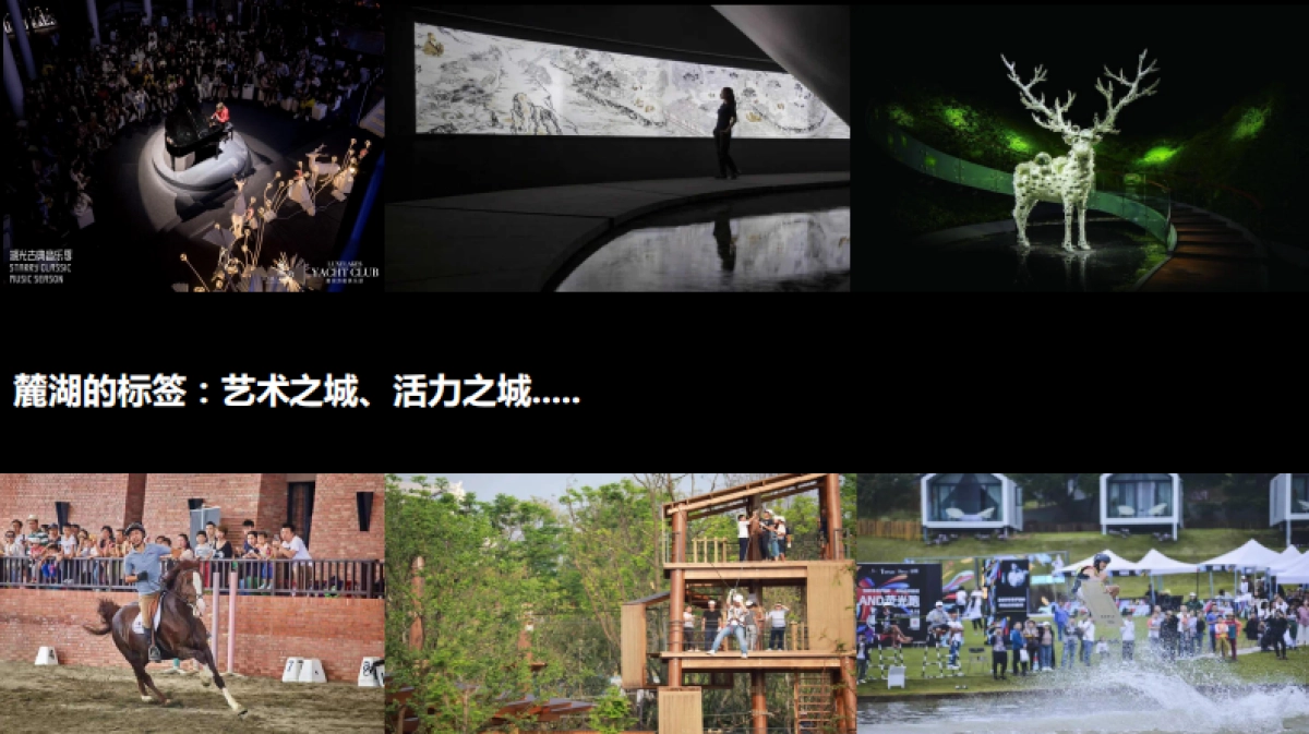 成都麓湖社群实操、方法论方案_第5页