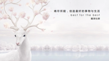 成都麓湖社群实操、方法论方案