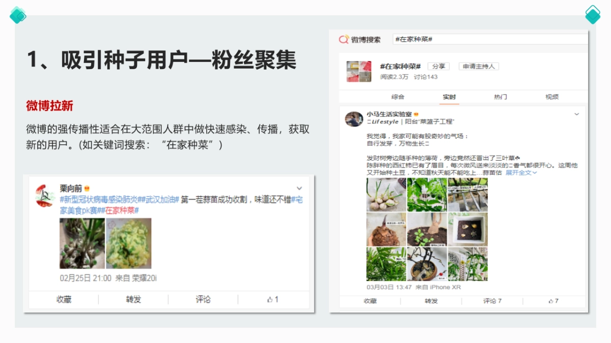 家庭智能蔬菜种植机社群建设落地方案_第6页