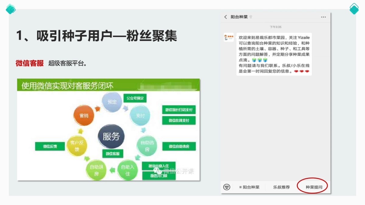 家庭智能蔬菜种植机社群建设落地方案_第8页