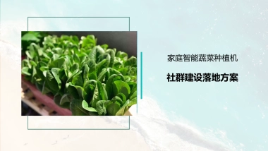 家庭智能蔬菜种植机社群建设落地方案