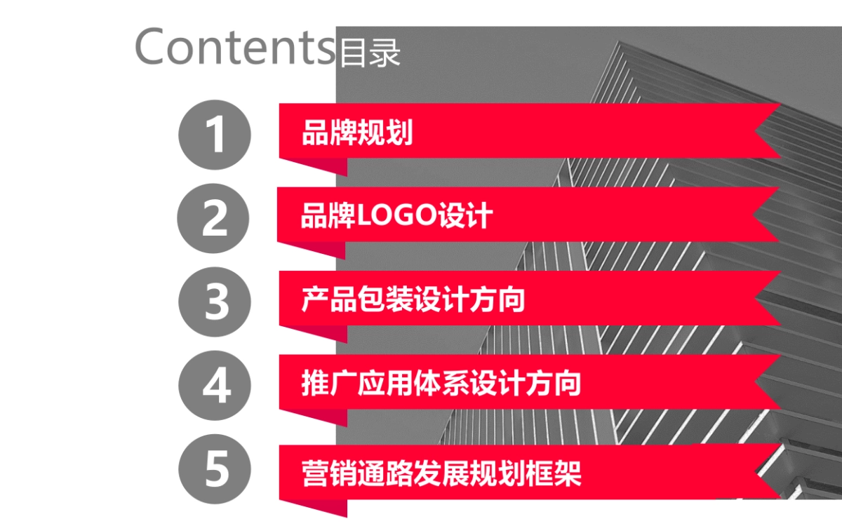 长江同济堂健康型白酒新品牌咨询设计方向提案_第6页