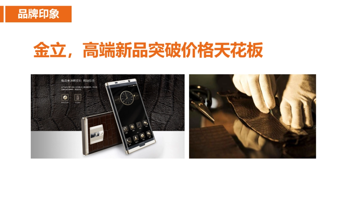 【蜂群传播】金立手机双微规划提案_第10页