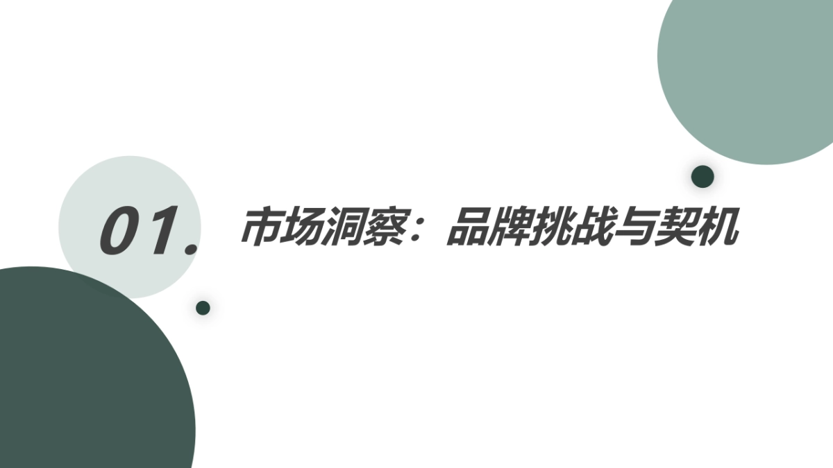【美柚】婧麒2021年上半年传播方案_第3页