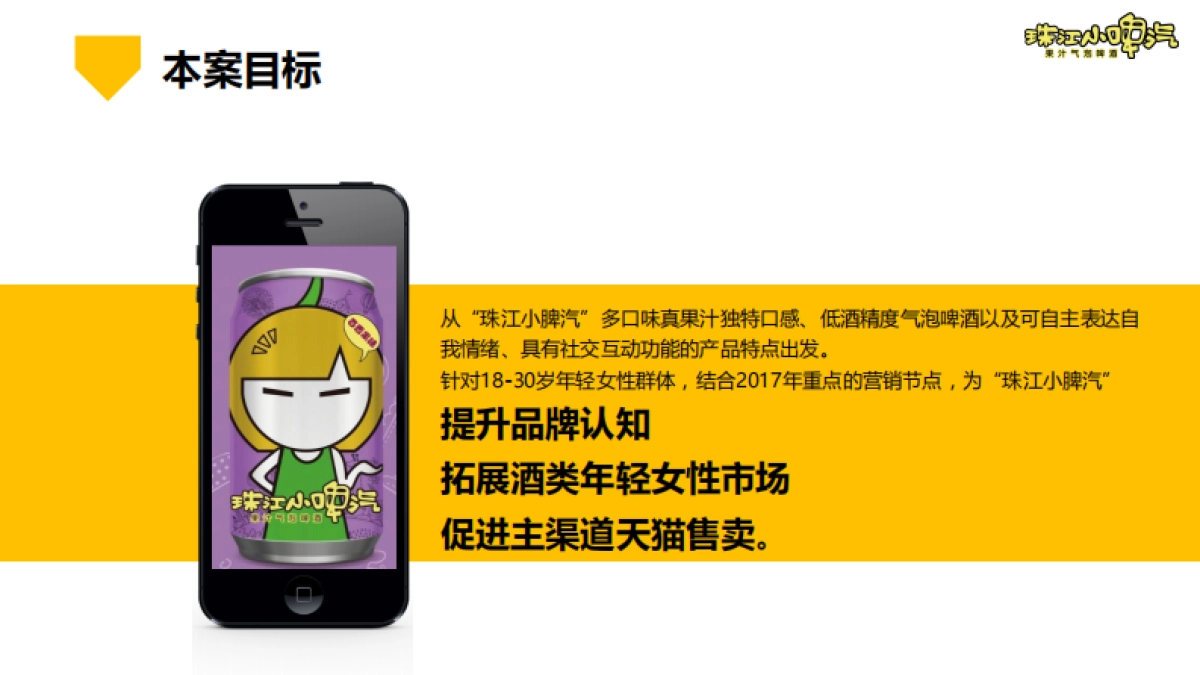 【新浪广东】珠江小啤汽2017年年度推广传播方案_第5页