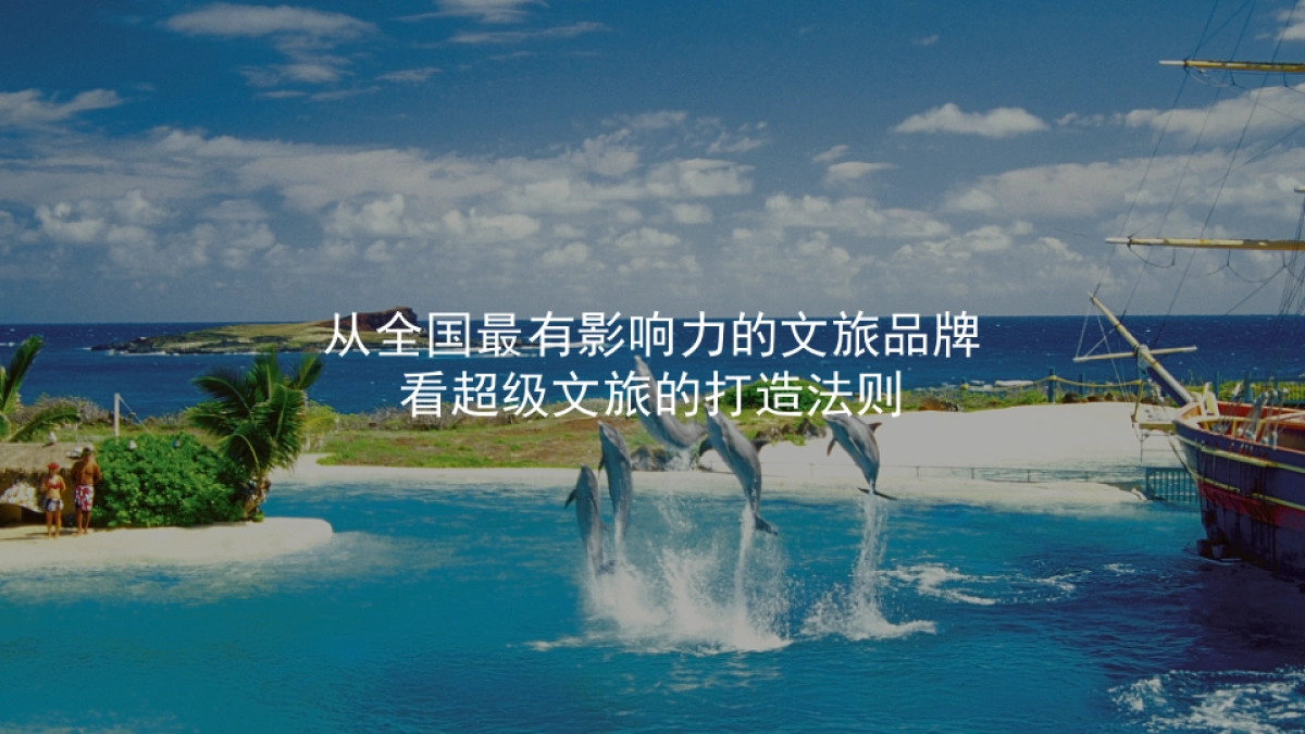 【中海】黄金海岸整合推广方案_第6页