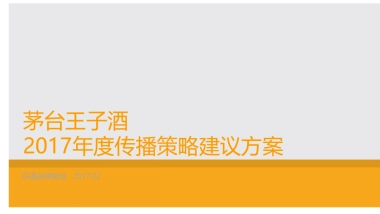 2017茅台王子酒年度传播方案