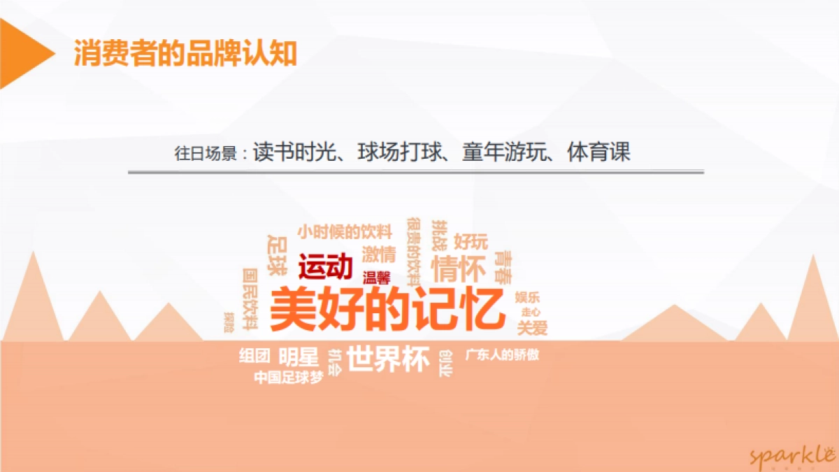 2018健力宝自拍瓶上市传播方案_第8页