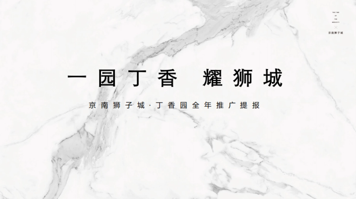 2019.10北京龍骏广告-京南狮子城2020年度推广方案_第2页