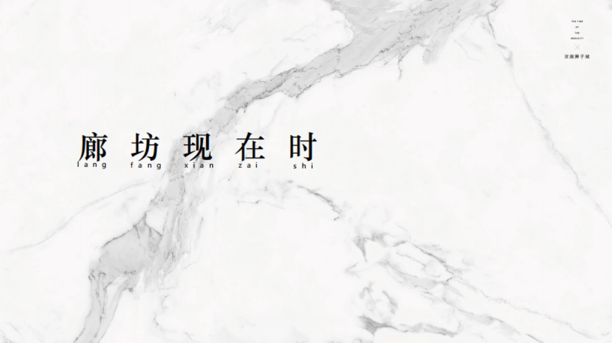 2019.10北京龍骏广告-京南狮子城2020年度推广方案_第4页