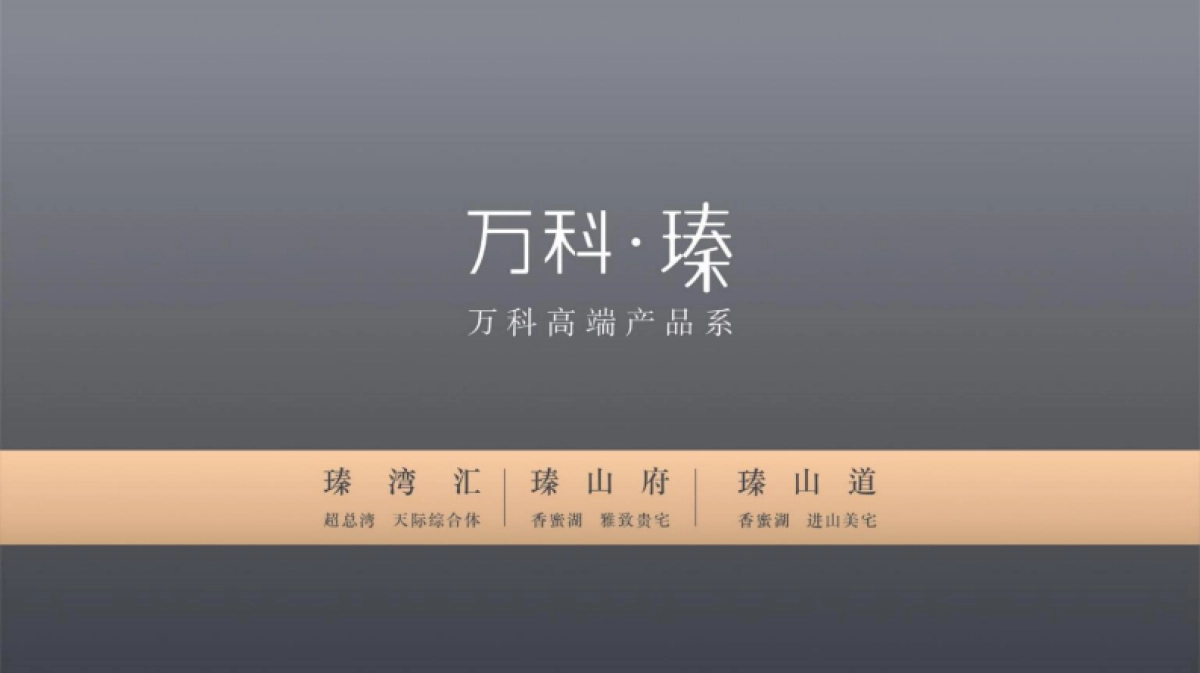 2019阳光城深圳区域品牌整合推广暨天悦传播策略案_第9页