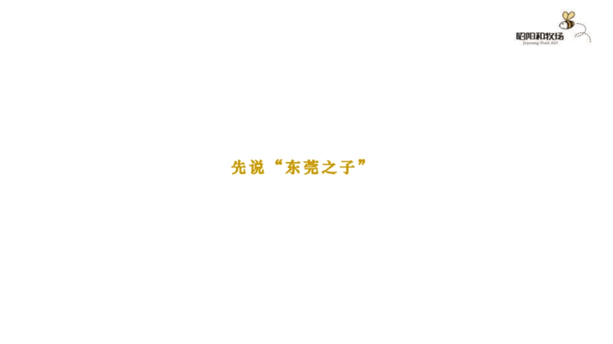 2020广州昭阳和牧场-君悦东方洲际万象MALL年度整合推广方案_第6页