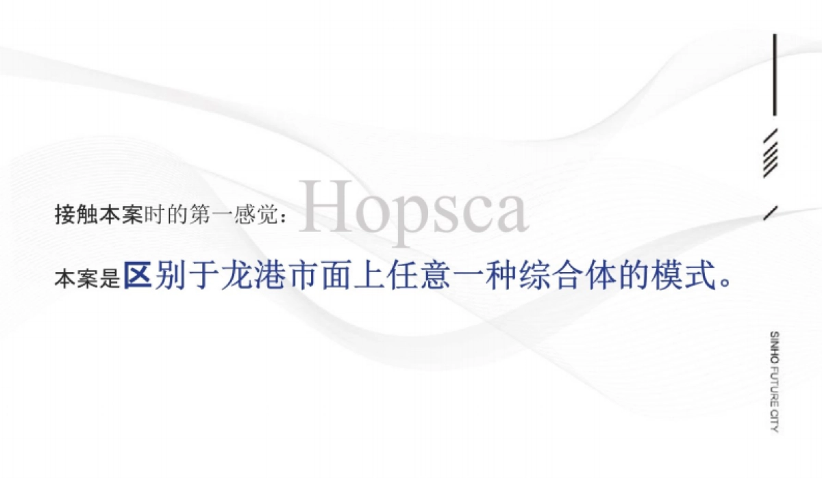 2020杭州文泓广告-新鸿龙港未来城整合推广案_第2页