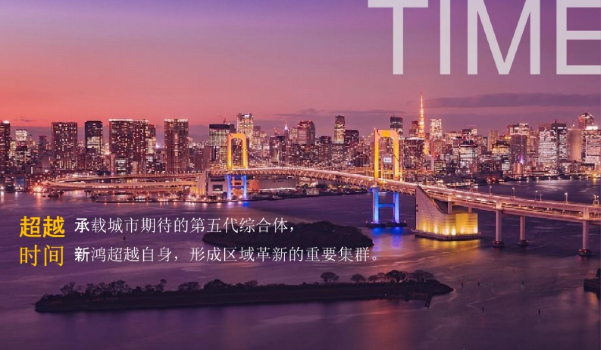 2020杭州文泓广告-新鸿龙港未来城整合推广案_第7页