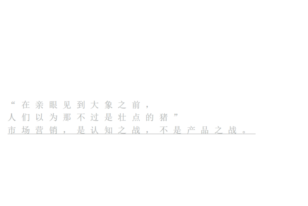 2020河南卢森堡中心整合推广提报_第2页