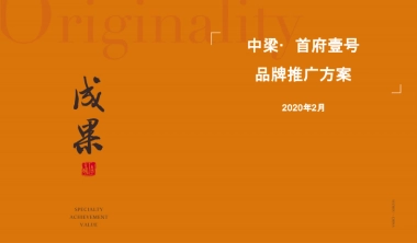 2020天门中梁首府壹号疫情品牌线上推广方案