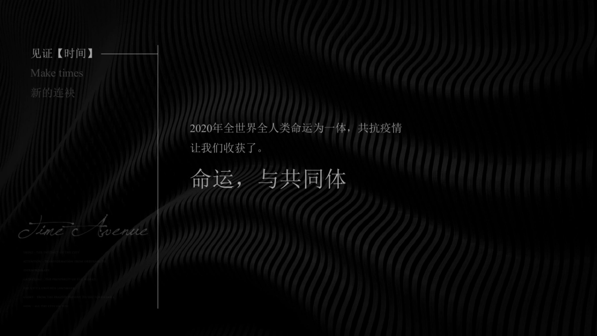 2020芜湖弘阳地王项目整合推广提报最终版_第8页