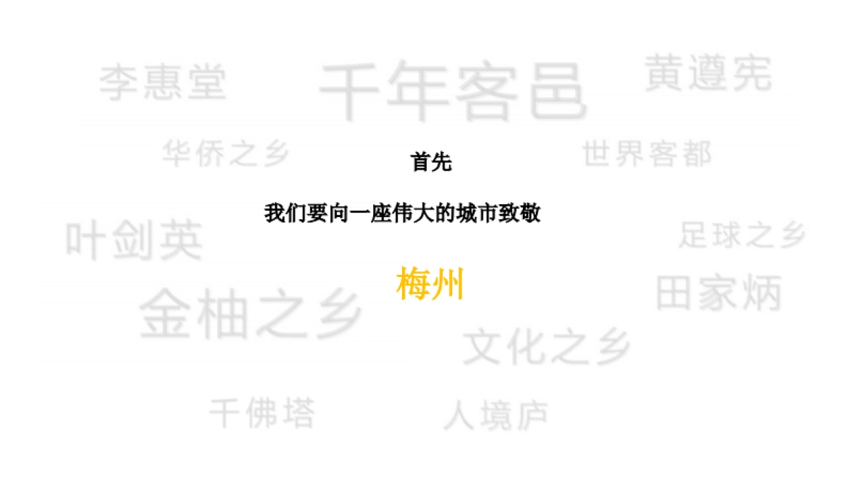 2021广东客天下品牌梅州项目年度推广方案_第2页
