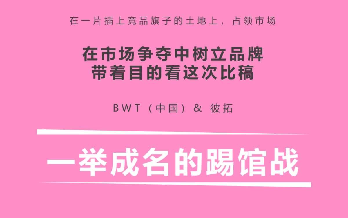 BWT碧然德营销推广全案_第5页