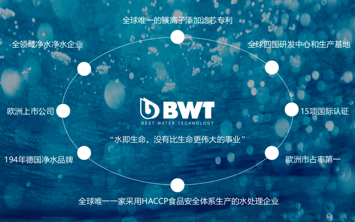 BWT碧然德营销推广全案_第6页