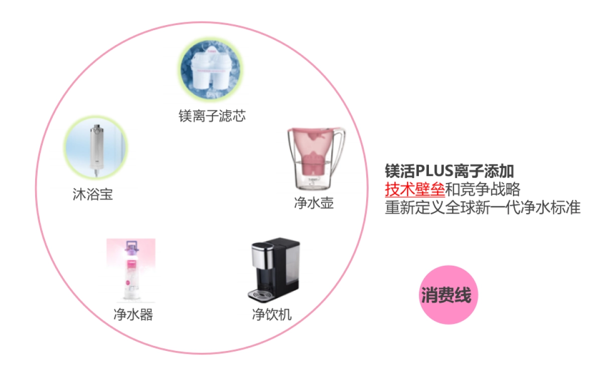 BWT碧然德营销推广全案_第9页