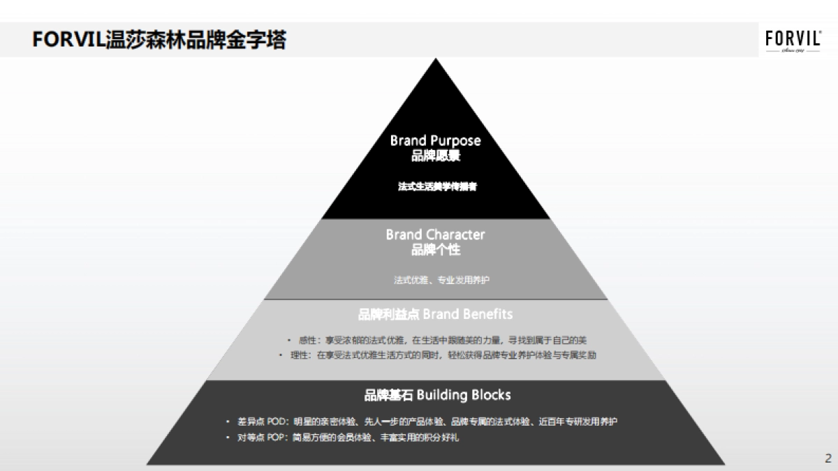 FORVIL年度传播方案_第2页