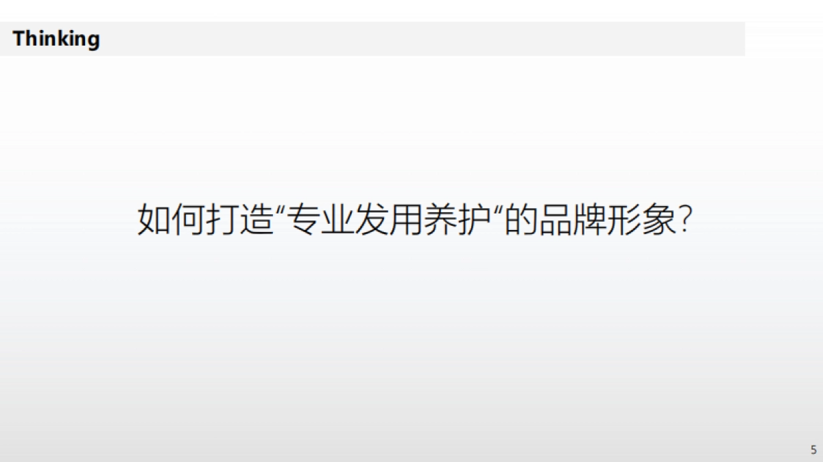 FORVIL年度传播方案_第5页