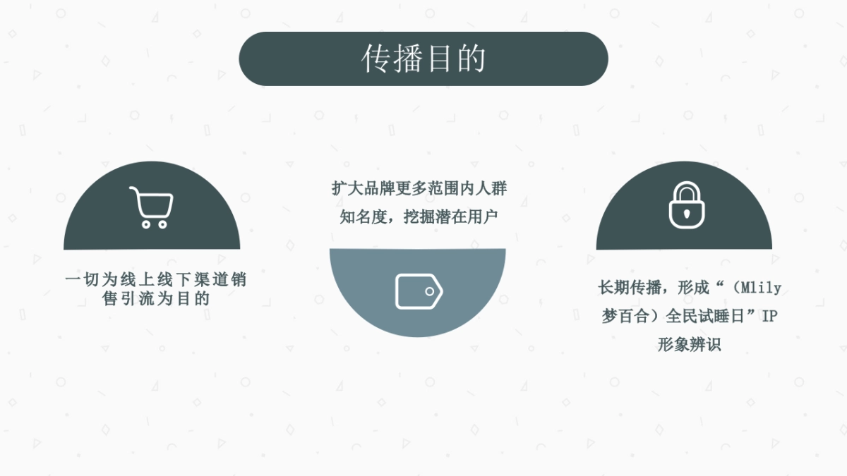 Mlily梦百合全民试睡日传播方案_第4页