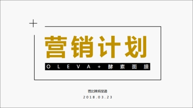 OLEVA+ 酵素面膜营销推广方案