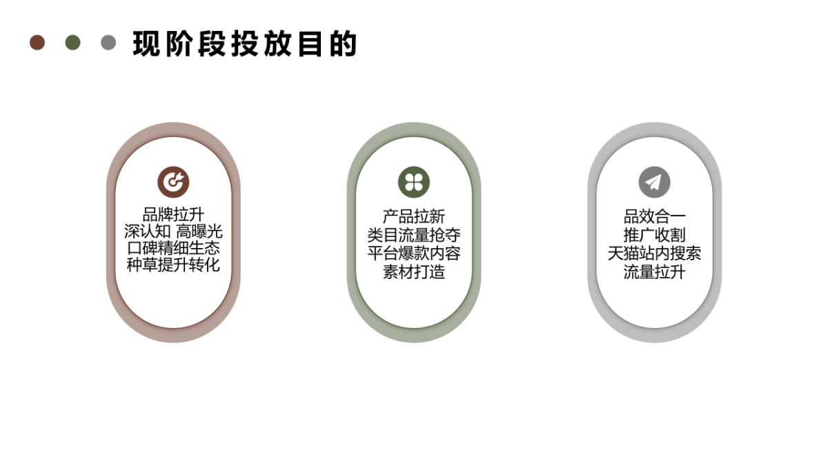 Twining川宁茶拿铁投放方案_第3页