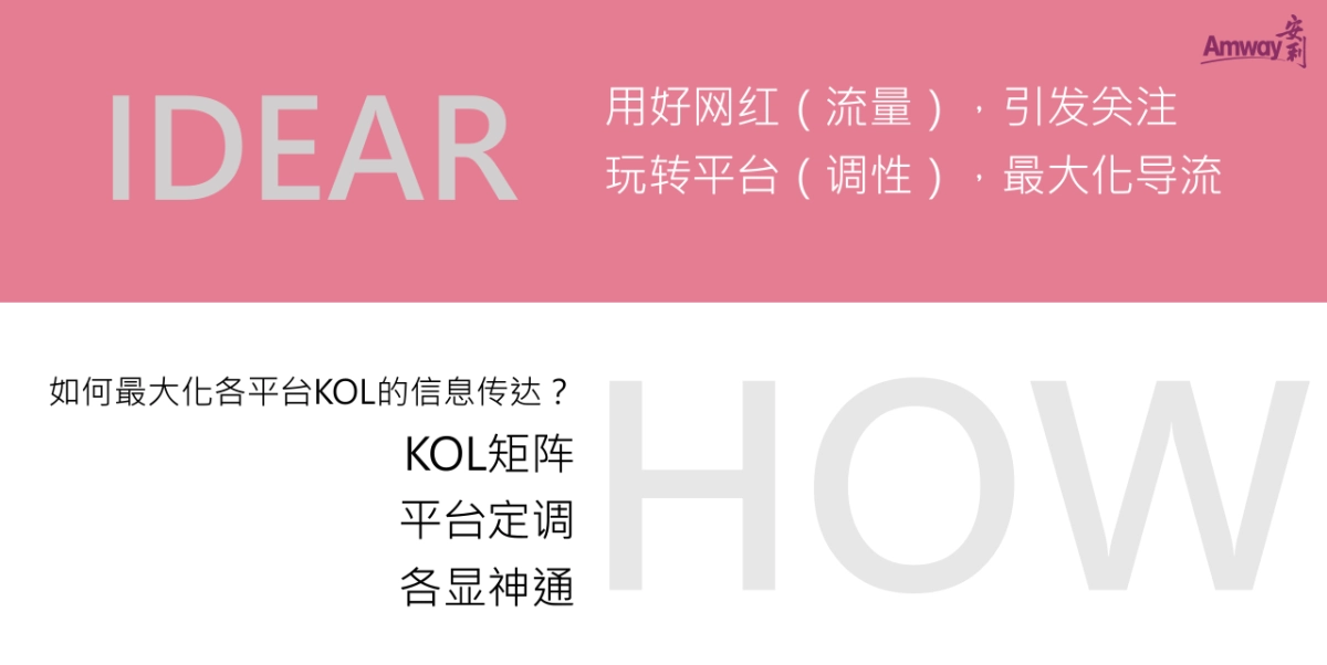 安利2019年KOL社会化推广方案_第3页