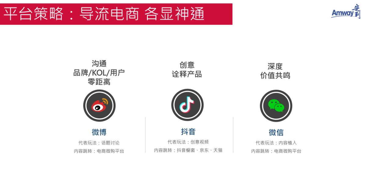 安利2019年KOL社会化推广方案_第5页