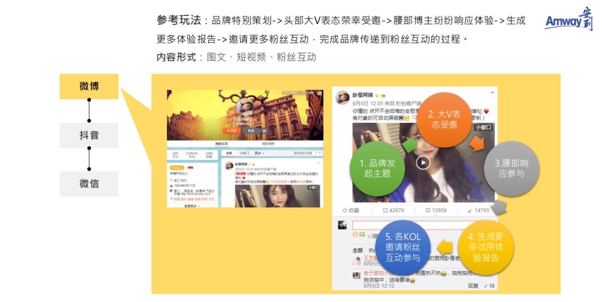 安利2019年KOL社会化推广方案_第6页