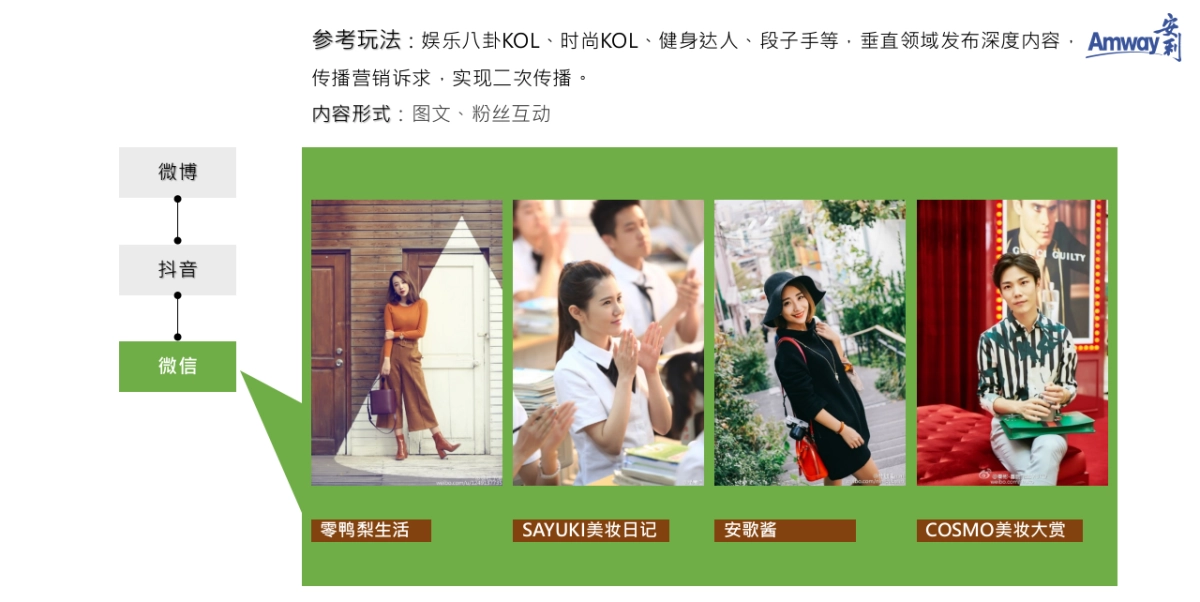 安利2019年KOL社会化推广方案_第8页