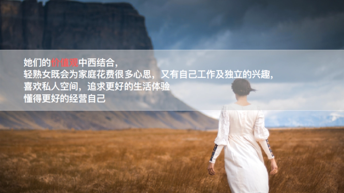 奥克斯Y5天猫款御蝶上线推广方案_greatsea_0927_第9页