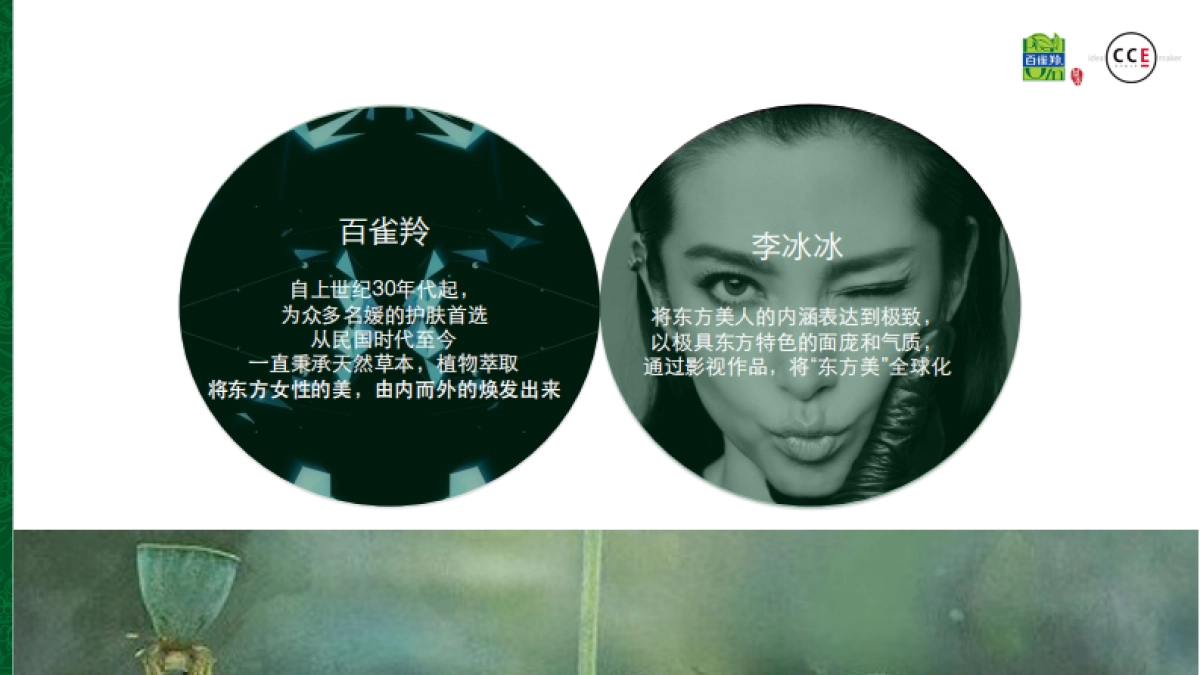 百雀羚新代言人线上预热整合传播方案_第9页