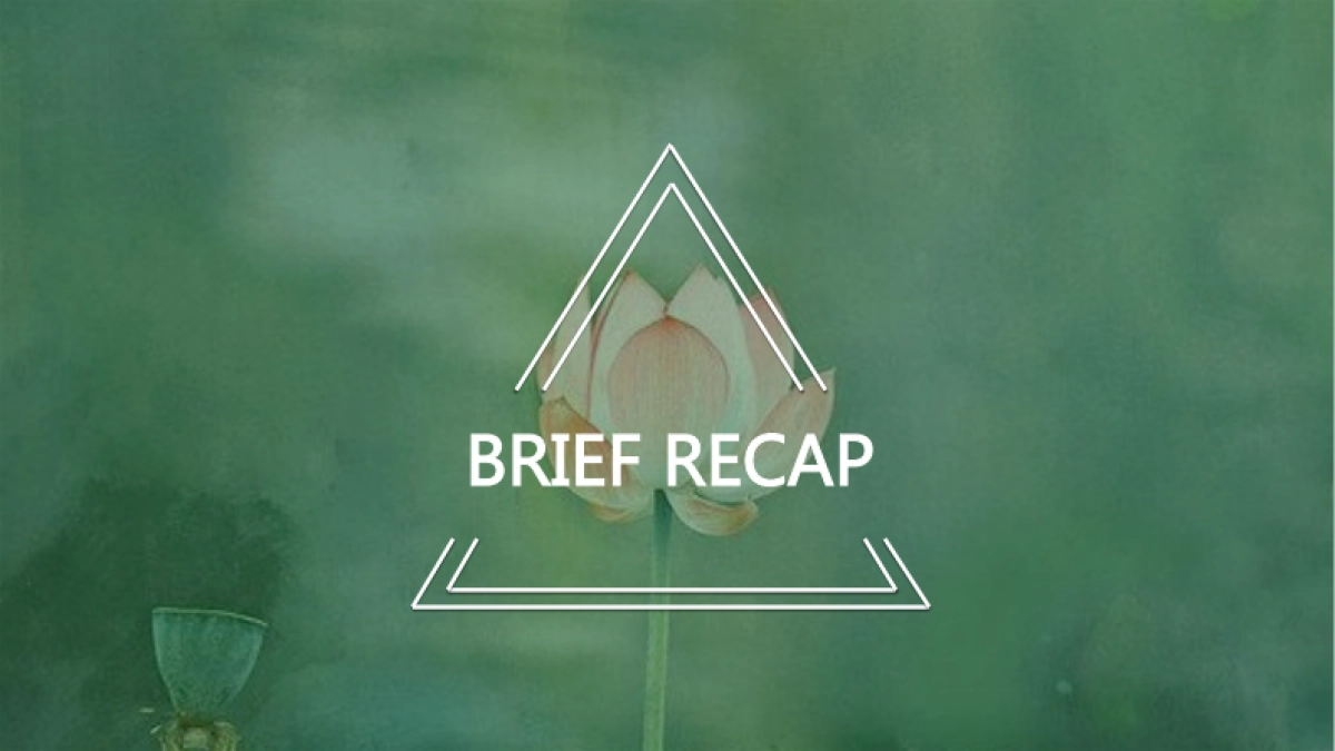 百雀羚新代言人线上预热整合传播方案－0722_第2页