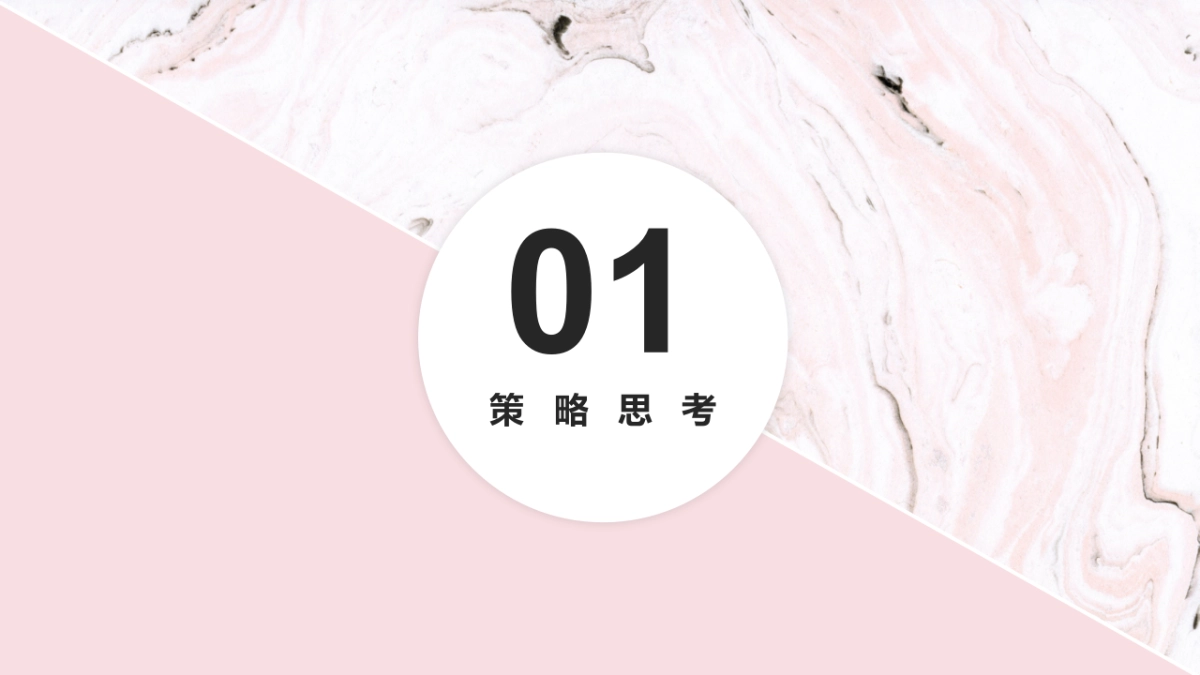 佰草集花色系列推广传播方_第3页