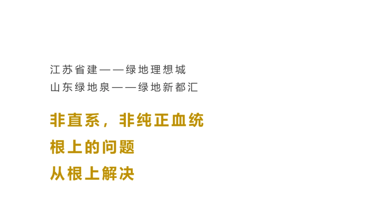 北京三禾广告-菏泽绿地城推广策略方案_第4页