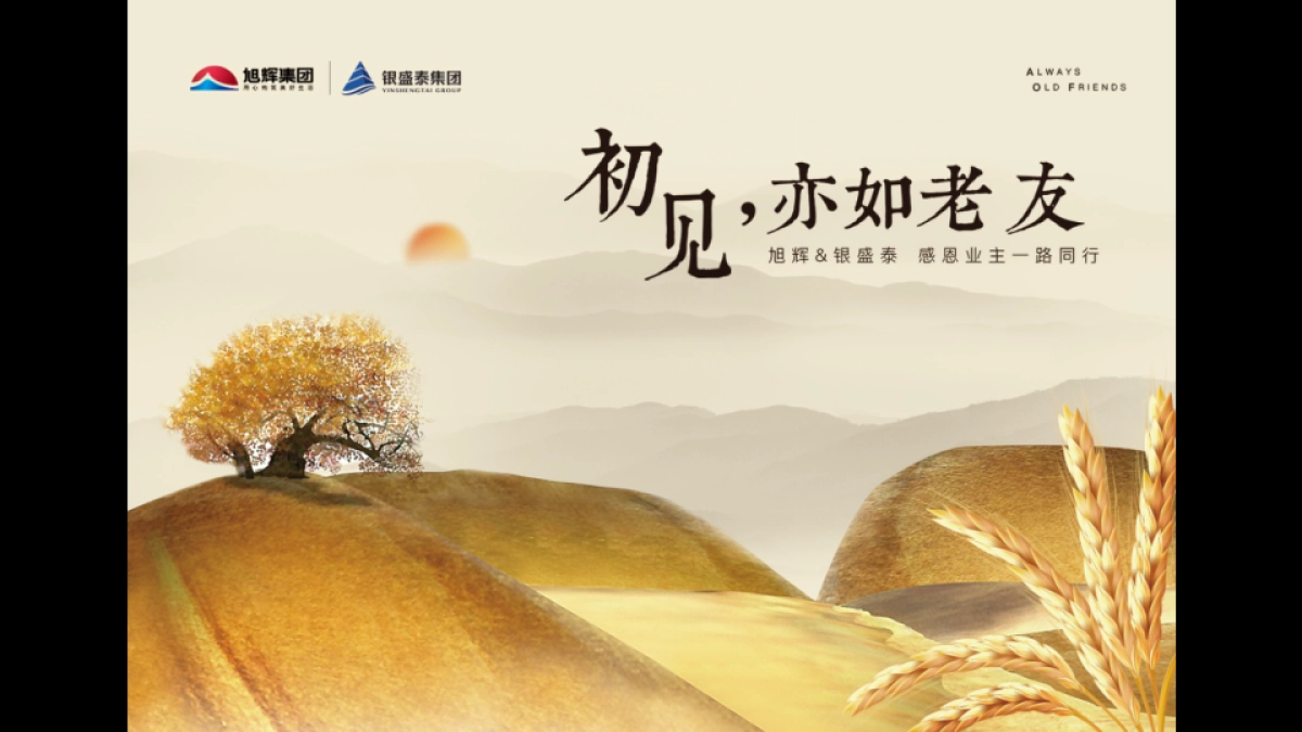 达文东方广告-金域蓝山年度推广策略提报_第5页