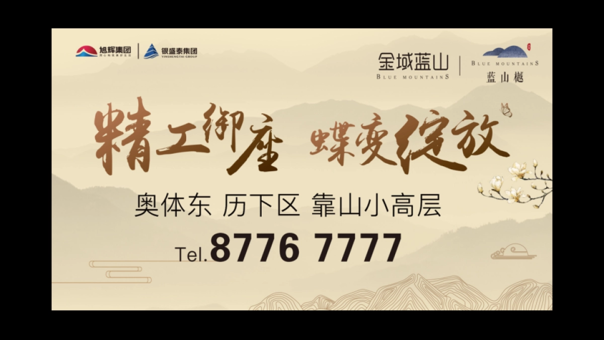 达文东方广告-金域蓝山年度推广策略提报_第9页