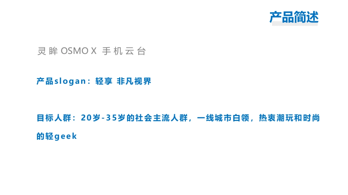 大疆云台上市推广方案_第2页