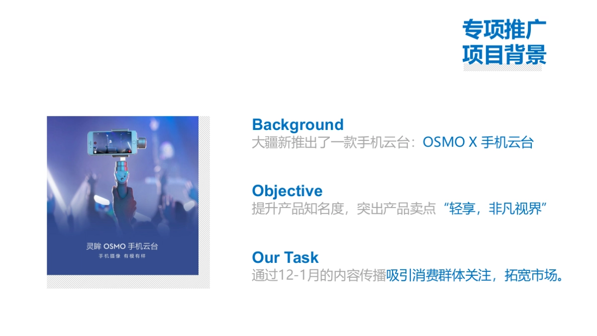 大疆云台上市推广方案_第5页