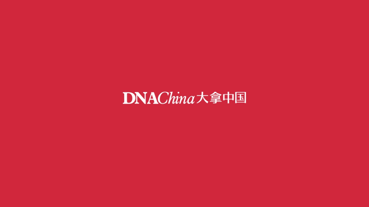大拿中国Dnachina-恒泰芙蓉南项目整合推广策略_第1页