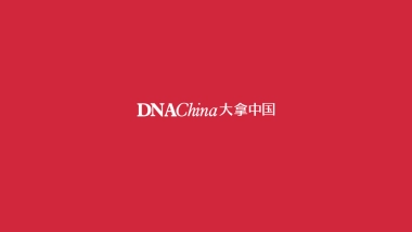 大拿中国Dnachina-恒泰芙蓉南项目整合推广策略
